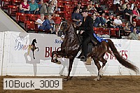 10buck_3009 proof