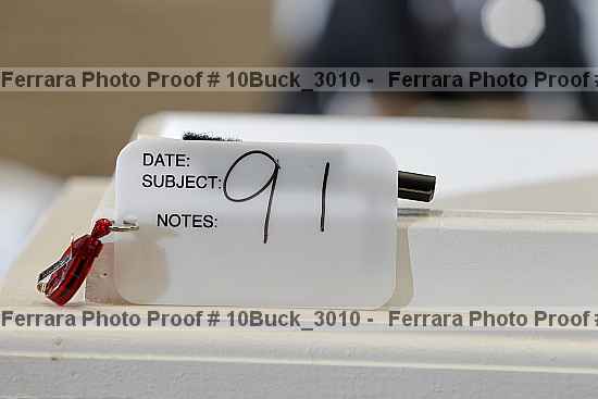 Proof 10buck_3010