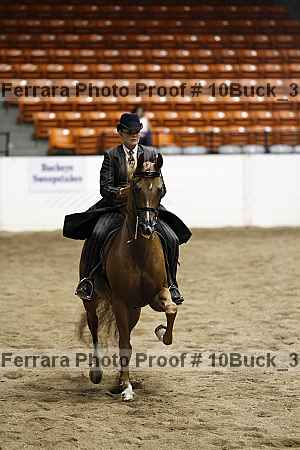 Proof 10buck_3011