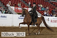 10buck_3012 proof