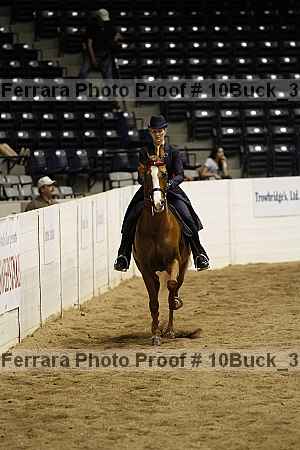 Proof 10buck_3013
