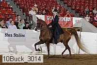 10buck_3014 proof