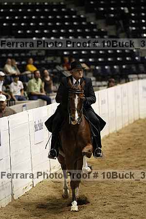 Proof 10buck_3020