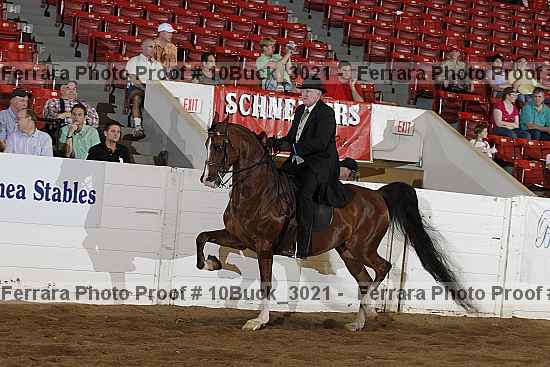 Proof 10buck_3021