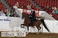 10buck_3021 proof