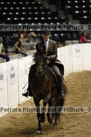 Proof 10buck_3024