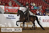10buck_3025 proof