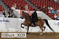 10buck_3029 proof