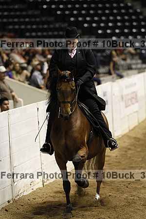 Proof 10buck_3030