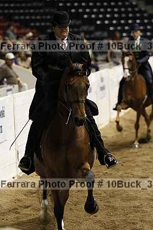 Proof 10buck_3031