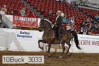 10buck_3033 proof