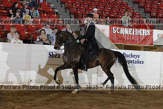 Proof 10buck_3035