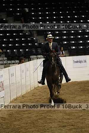 Proof 10buck_3036