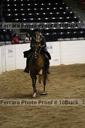 Proof 10buck_3038