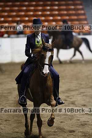 Proof 10buck_3039