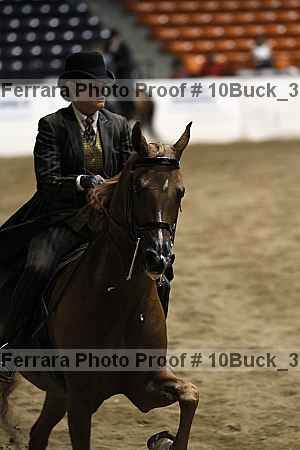 Proof 10buck_3040