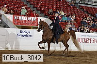 10buck_3042 proof