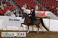 10buck_3044 proof