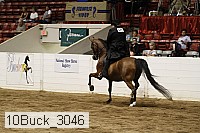 10buck_3046 proof