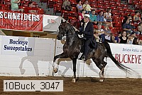 10buck_3047 proof