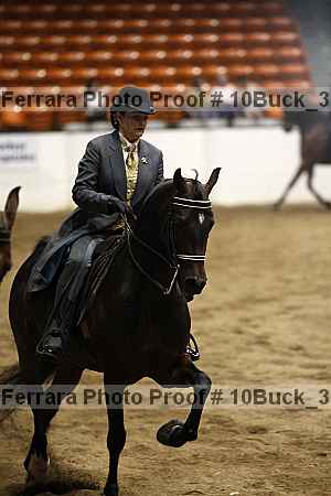 Proof 10buck_3050