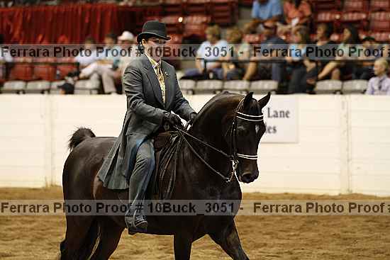 Proof 10buck_3051