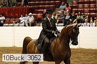 10buck_3052 proof