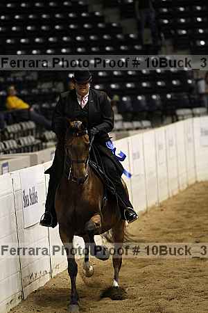 Proof 10buck_3054