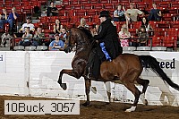 10buck_3057 proof