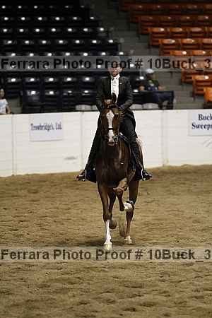 Proof 10buck_3061