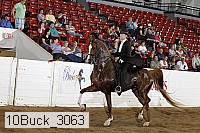 10buck_3063 proof