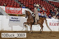 10buck_3069 proof