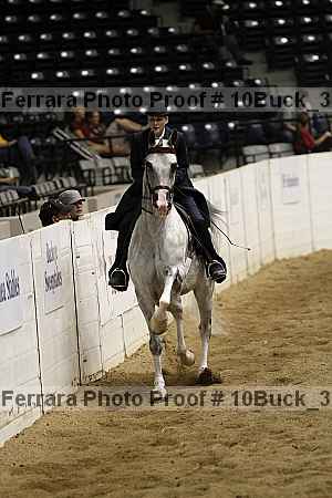 Proof 10buck_3071
