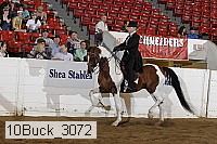 10buck_3072 proof