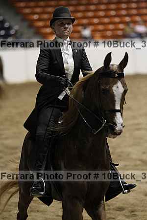 Proof 10buck_3078