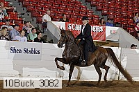 10buck_3082 proof