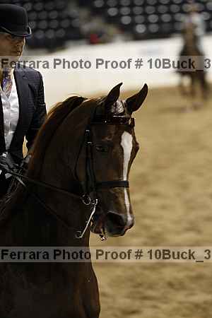 Proof 10buck_3083