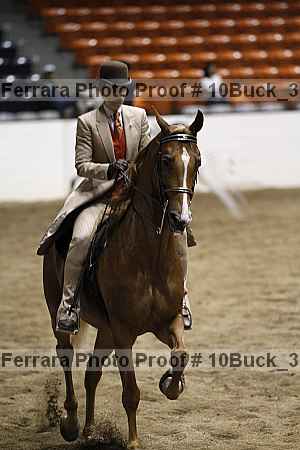 Proof 10buck_3085