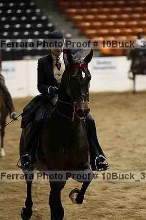 Proof 10buck_3091