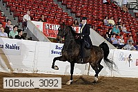 10buck_3092 proof