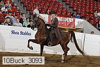 10buck_3093 proof