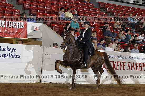 Proof 10buck_3096