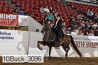10buck_3096 proof