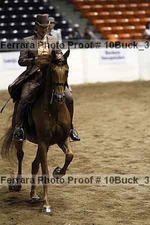 Proof 10buck_3097