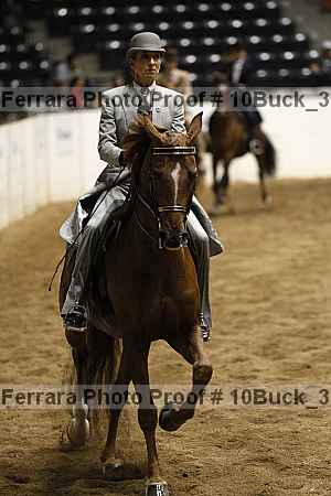 Proof 10buck_3099