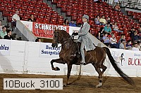 10buck_3100 proof