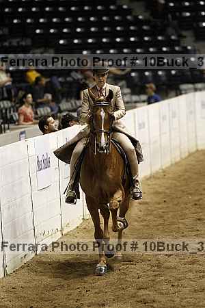 Proof 10buck_3101