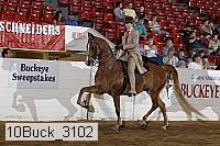 10buck_3102 proof