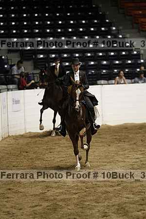 Proof 10buck_3104