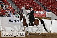 10buck_3105 proof